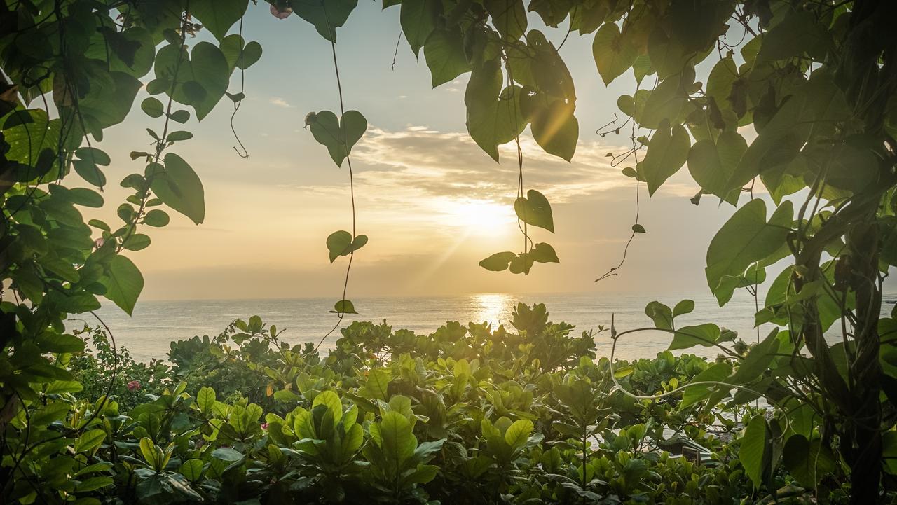 Hotel Bay Vista